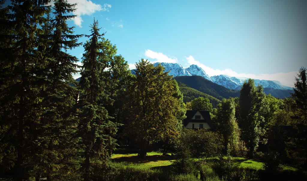 Klimkowka Villa Zakopane Ruang foto